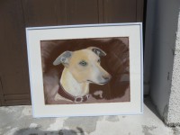 /album/galerie-photos/photo-425-jpg/